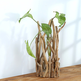 Оригінальна дерев′яна прикраса ручної роботи гідропонічної скляної вази