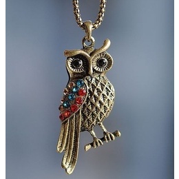 Palace Owl with Long Chain Necklace