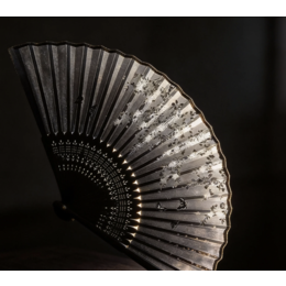 Chinese Style Black Bamboo Fan